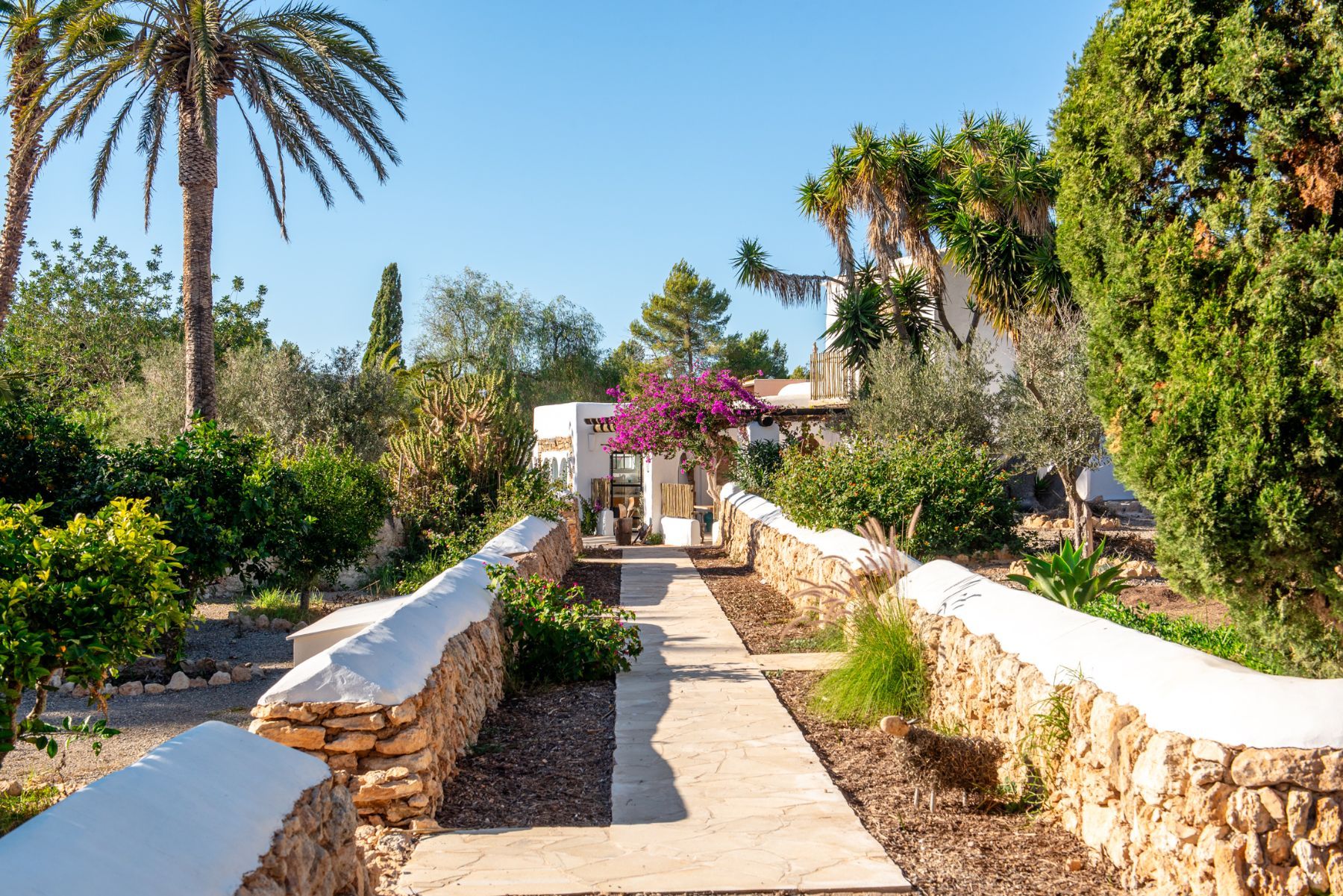 Can Amphorae villa photo.